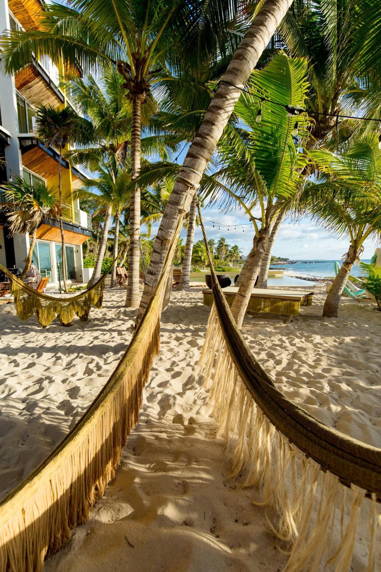 Angelina 28 Beachfront And Family Apartments - Modern And Relaxing Long Stays - 20 Min From Cancun Airport Puerto Morelos Eksteriør bilde