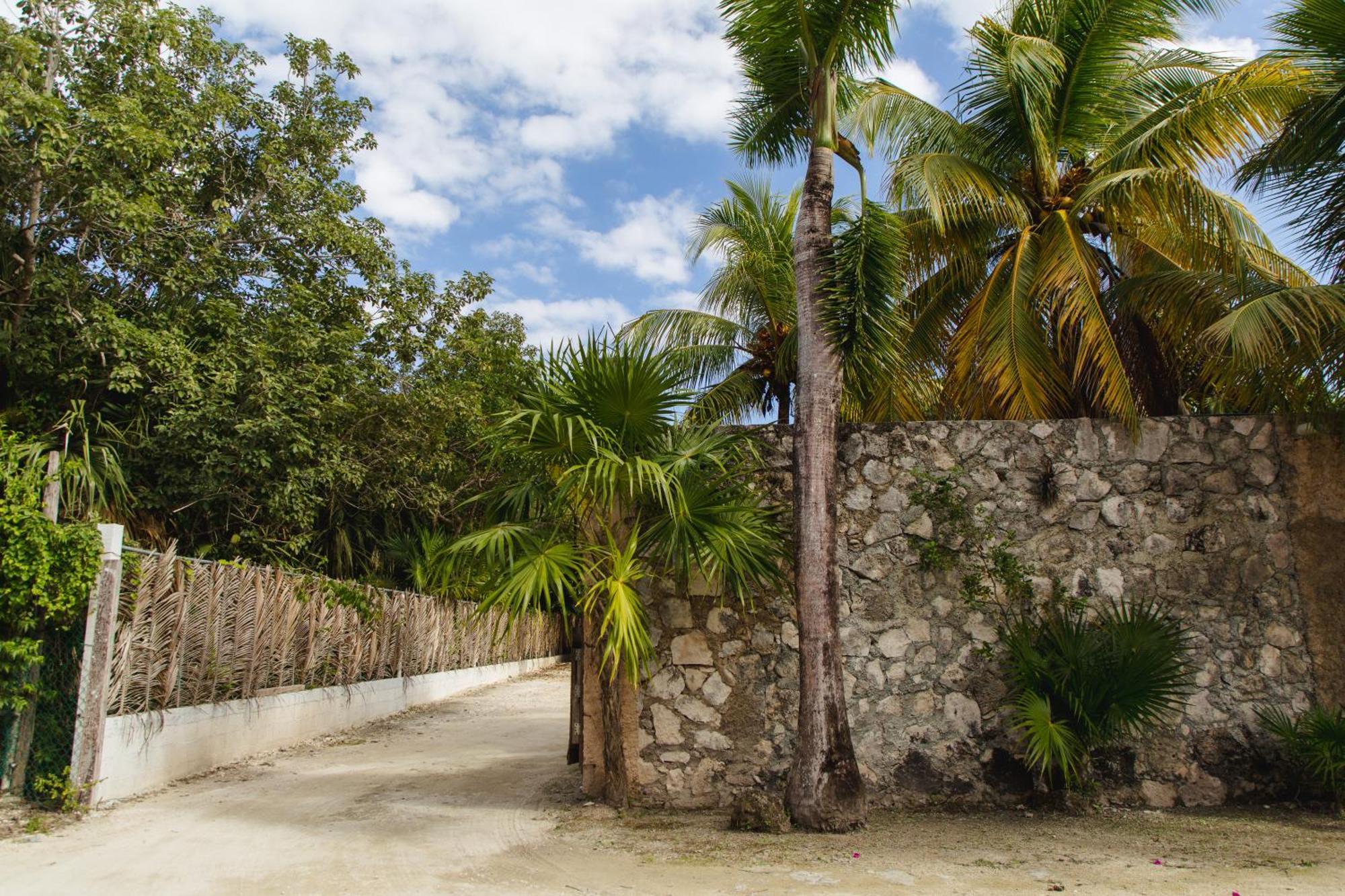 Angelina 28 Beachfront And Family Apartments - Modern And Relaxing Long Stays - 20 Min From Cancun Airport Puerto Morelos Eksteriør bilde